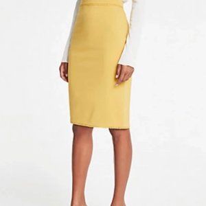 Ann Taylor lined pencil skirt